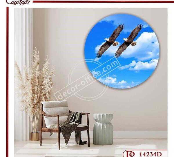 عکس دو عقاب در آسمان
