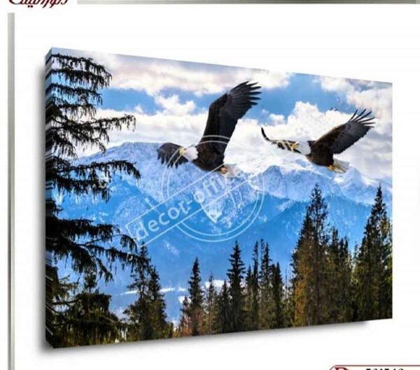 عکس عقاب در آسمان آبی
