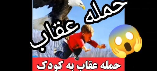 عکس عقاب آتشین واقعی