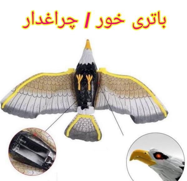عکس اسباب بازی عقاب کنترلی
