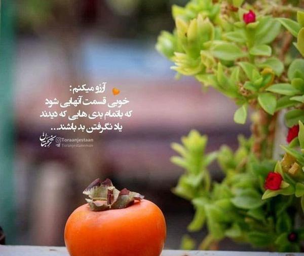 عکس زیبا و آموزنده
