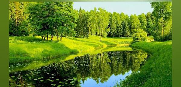 عکس طبیعت زیبا و آرامش بخش