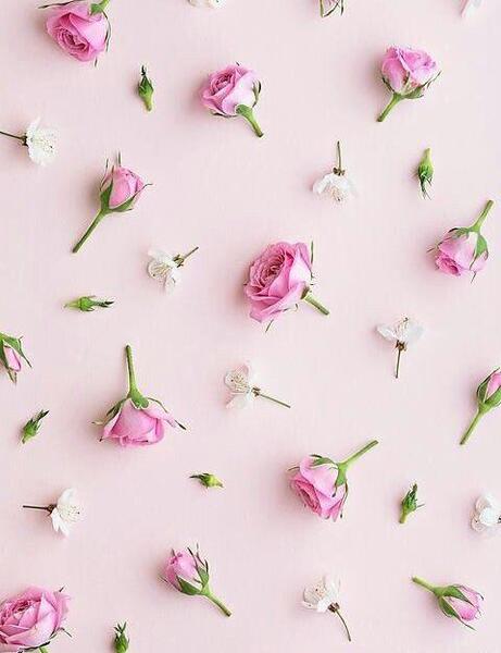 عکس زیبا برای صفحه گوشی زنانه