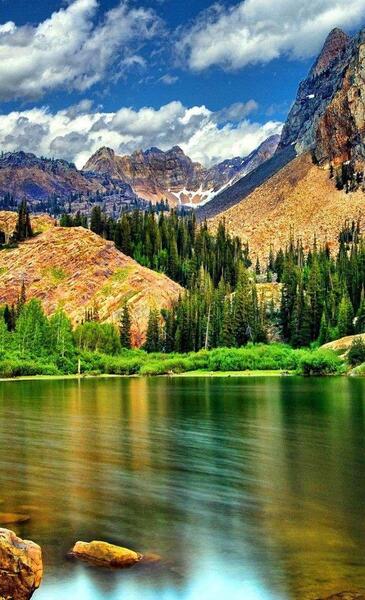 عکس زیبا از پس زمینه گوشی