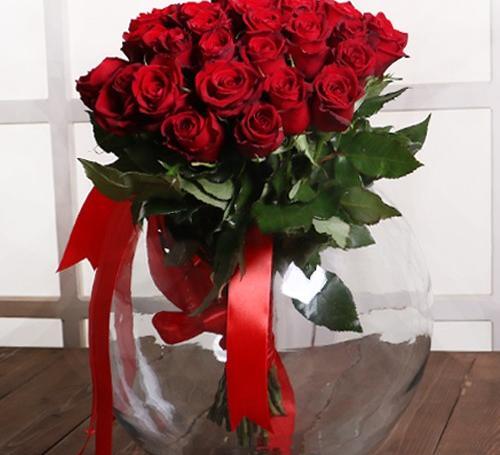 عکس زیبا ترین گل رز