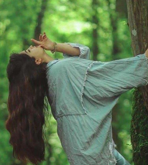 عکس جنگل زیبا برای پروفایل