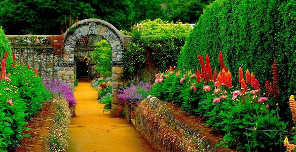 عکس جنگل زیبا و رویایی