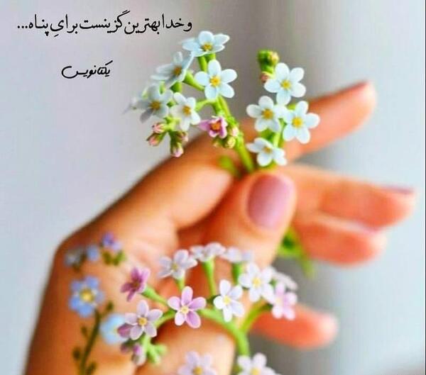 عکس زیبا و جدید برای پروفایل واتساپ