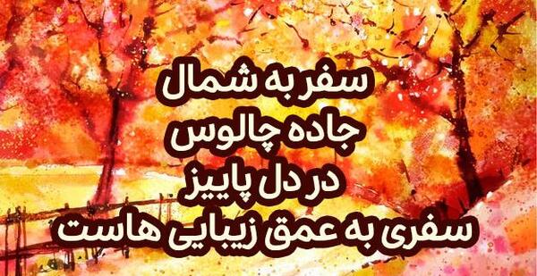 عکس زیبا از جاده های شمال
