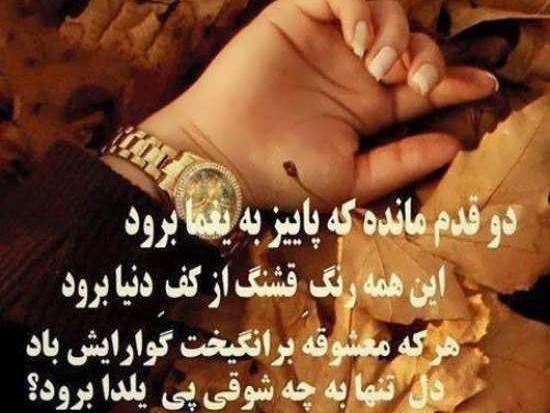 دانلود عکس پروفایل عاشقانه شب یلدا