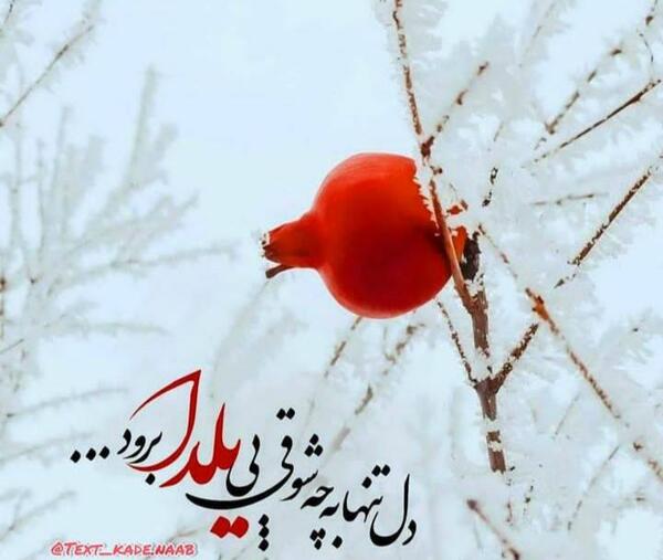 دانلود عکس پروفایل عاشقانه شب یلدا