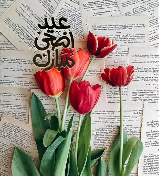عکس نوشته عید مبارک عشقم