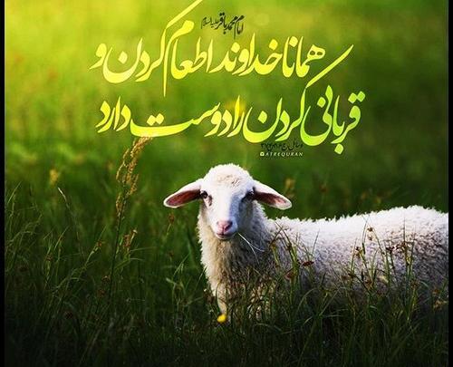 عکس اولین عید قربان باهم بودنمون مبارک عشقم
