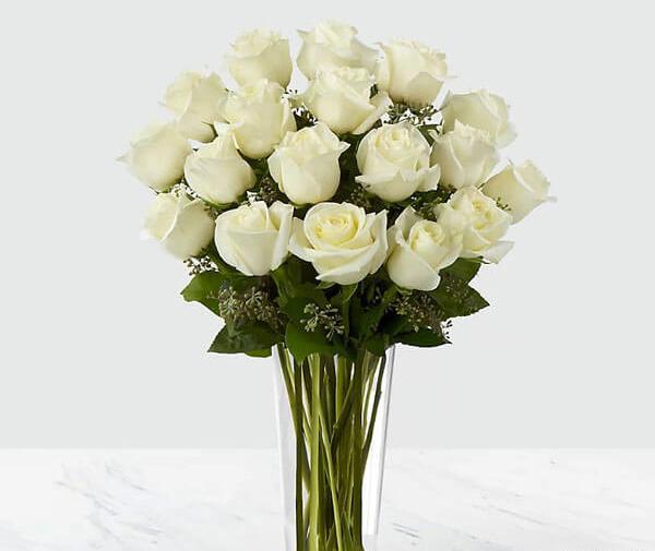 عکس گل زیبا سفید