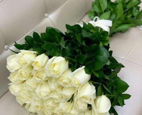 عکس گل زیبا سفید