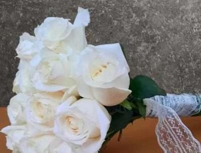 عکس زیبا رز سفید
