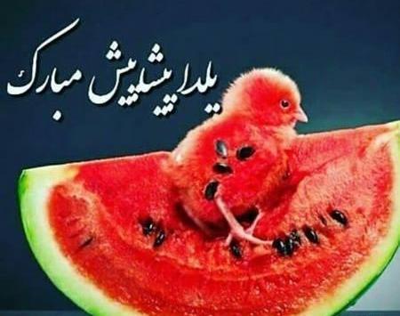 عکس زیبا شب یلدا مبارک