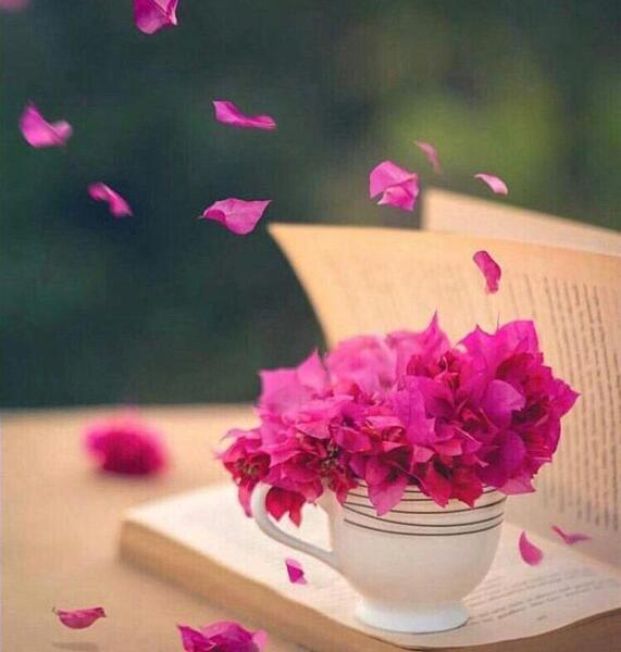عکس زیبا و شاد برای پروفایل