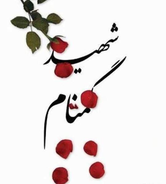عکس زیبا درمورد شهدا
