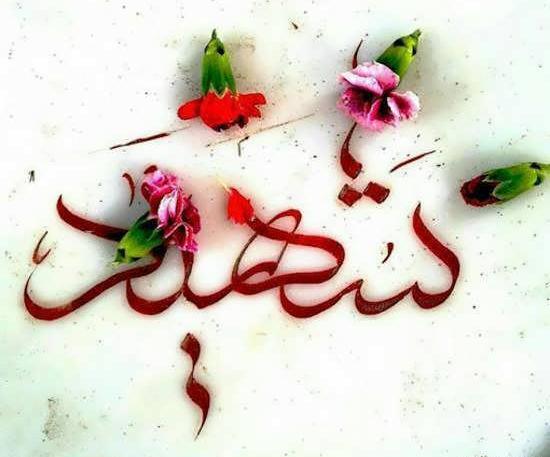 عکس زیبا درباره شهدا