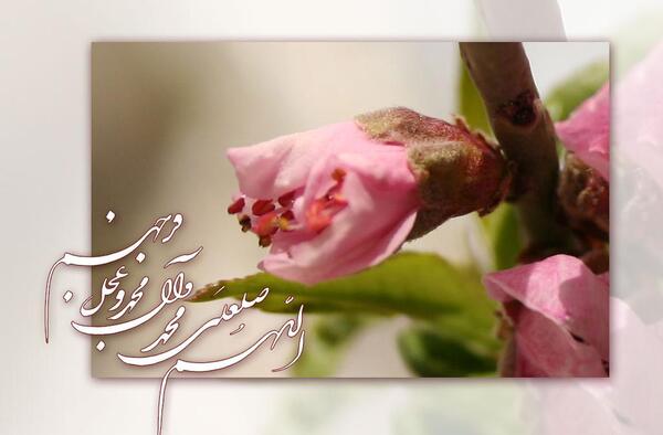 عکس زیبا از صلوات