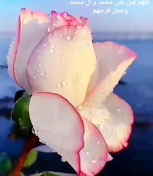 دانلود عکس صلوات زیبا