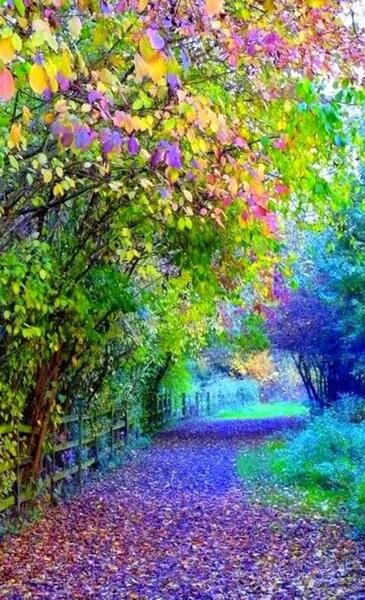 دانلود عکس طبیعت زیبا برای پروفایل