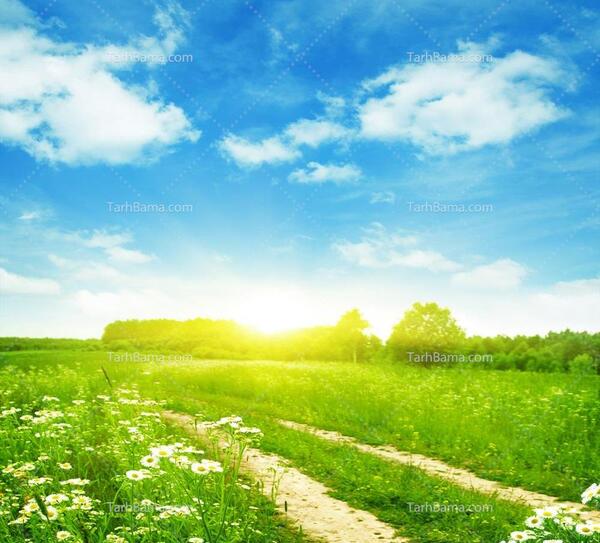 دانلود عکس طبیعت زیبا برای تصویر زمینه