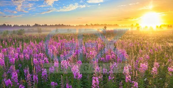 عکس های زیبا از طلوع خورشید