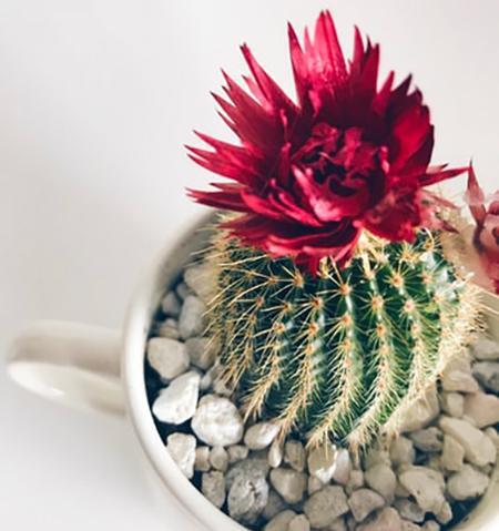 عکس طبیعت زیبا برای استوری