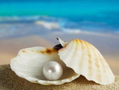 عکس از زیبایی ظاهری