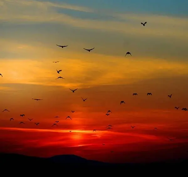 عکس غروب زیبا برای پروفایل