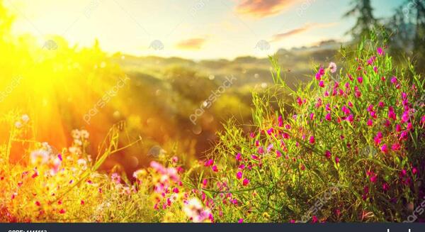 عکس های زیبا از غروب افتاب