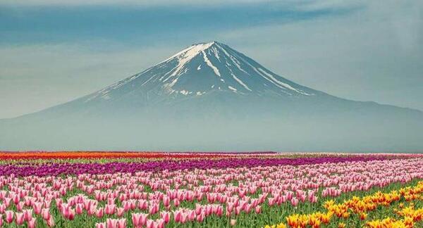عکس های زیبا از فصل بهار