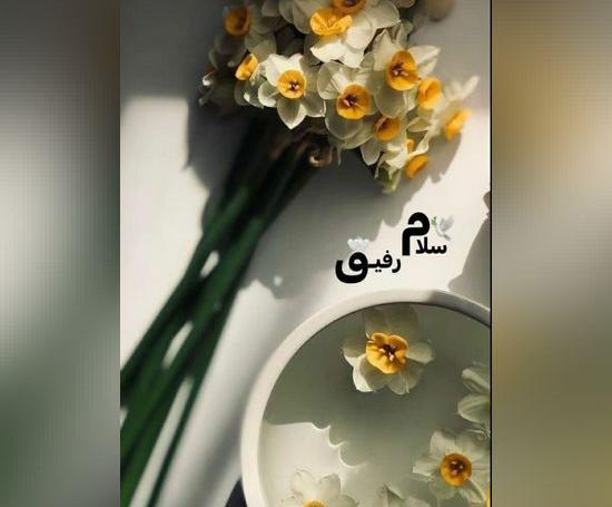 عکس سلام صبح زیباتون بخیر