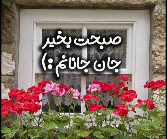 عکس سلام و صبح بخیر زیبا