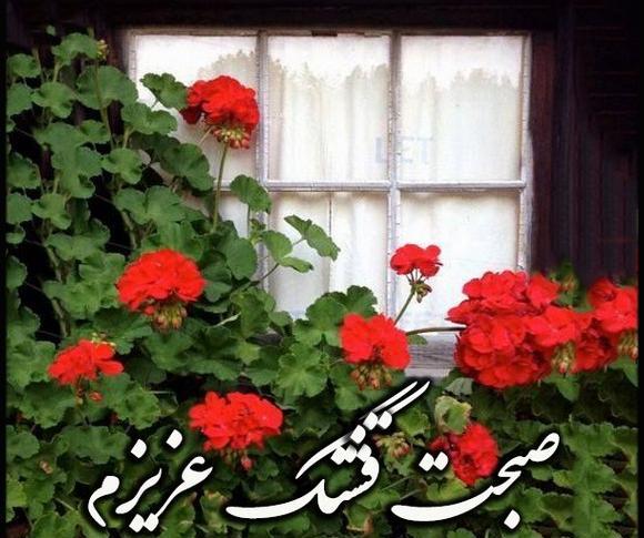 دانلود عکس سلام صبح بخیر زیبا