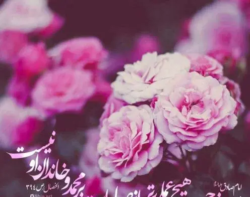 عکس عصر جمعه تون بخیر