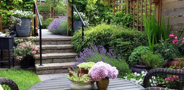 عکس زیبا از فضای سبز