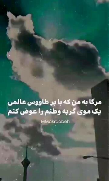 عکس یک پر طاووس
