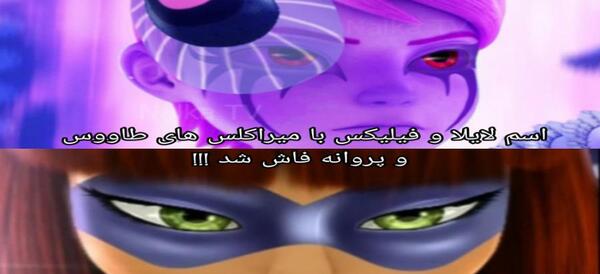 عکس معجزه گر طاووس و پروانه