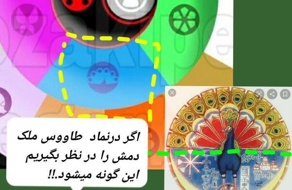 عکس معجزه گر طاووس واقعی