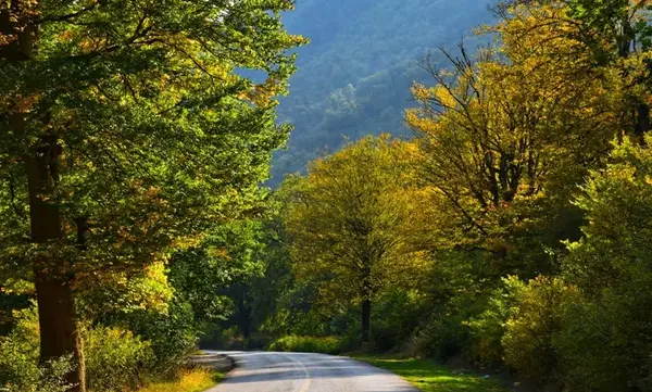 عکس گنبد کاووس مشهد