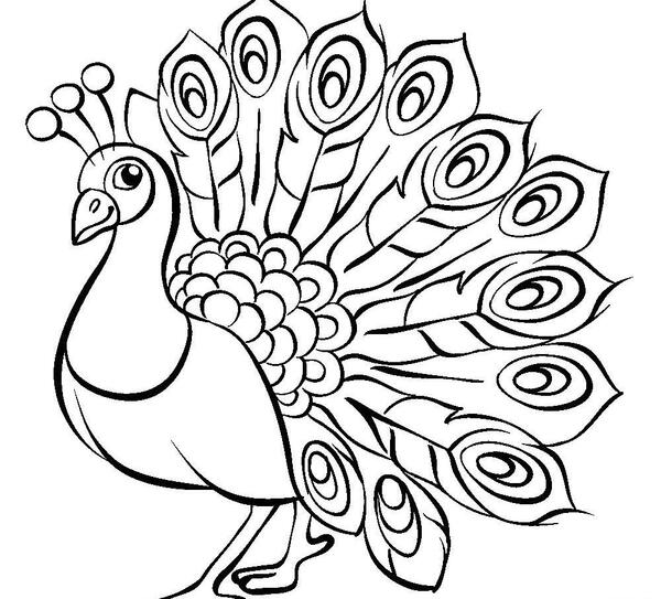عکس نقاشی طاووس کودکانه