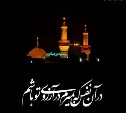 عکس زیبا کربلا در شب