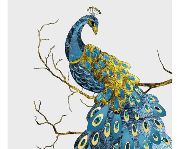 عکس طاووس برای طراحی