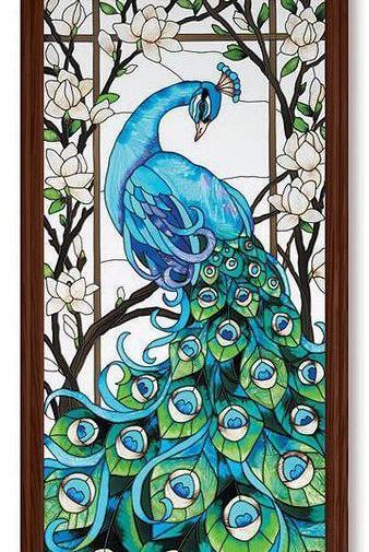 عکس طاووس برای طراحی