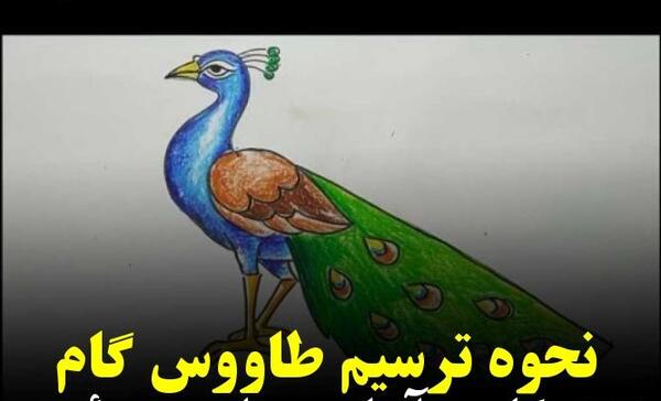 عکس نقاشی طاووس خیالی ساده