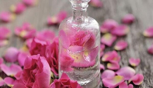 عکس زیبا گل محمدی
