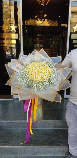 عکس زیبا از گل نرگس شیراز